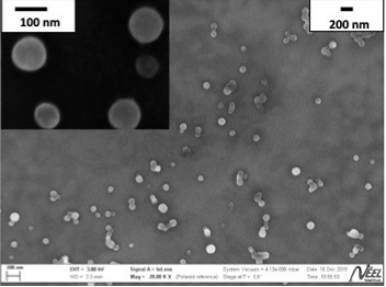 Image de microscopie electronique de nanoparticules apres dissolution de la coquille protectrice en silice